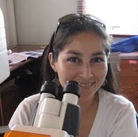 Carmen Gloria Brito Rozas