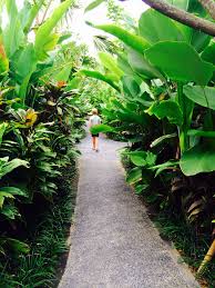 Tropical Garden Bali Tropical Landscape Design Tropical Landscaping Bali Garden