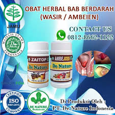 Wasir, penyebab umum dari darah merah cerah. Storymapjs Obat Bab Berdarah Menetes Terus Keluar Darah Dari Dubur