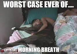 Morning Breath Memes Imgflip