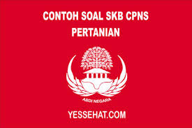 Maybe you would like to learn more about one of these? Contoh Soal Skb Pertanian 2021 Dan Jawabannya