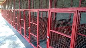 Ukuran kandang ayam bangkok dari bambu. Kandang 1 Desain Kandang Ternak Ayam Bangkok