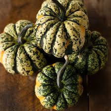 Image result for carnival acorn squash