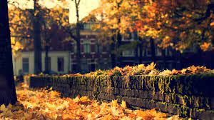 Tumblr cute fall backgrounds tumblr cozy fall wallpaper. Gemutlicher Herbst Desktop Hintergrund Herbsttapete Tumblr 1920x1080 Wallpapertip