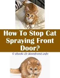 11 Exhilarating Stop Cat From Marking With Urine Admirable