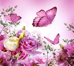 See more ideas about flowers, image, flutter. Pink Butterfly Flower Nature Hd Wallpaper Peakpx