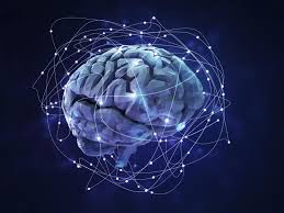 Neural networks are computing systems with interconnected nodes that work much like neurons in the human brain. Using Neural Networks To Transform Audience Building