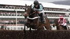 Image result for Kevin Blake is he bloodhorse literate?