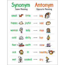 Anchor Chart Synonym And Antonym