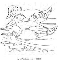 Dogs love to chew on bones, run and fetch balls, and find more time to play! Wood Duck Coloring Pages Coloring Pages