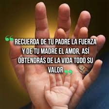 Frases Para La Vida Coleccion 12 Frases De La Vida Frases Cortas Para Hijos Frases Hermosas De La Vida Frases Cortas Para Papa