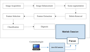 Cervical cancer stories patients share symptoms & treatment. A Pap Smear Analysis Tool Pat For Detection Of Cervical Cancer From Pap Smear Images Biomedical Engineering Online Full Text
