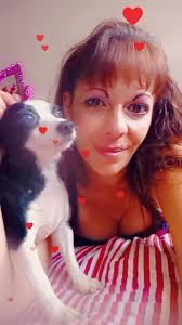 Lost Dog in Fort Smith, Arkansas