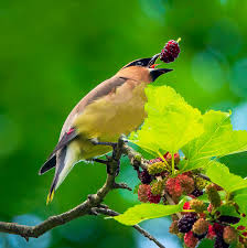 2021 Photo Contest Winners Announced