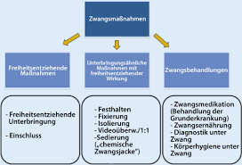 Die elterliche sorge steht mir allein zu. Zwangsmassnahmen In Der Psychiatrischen Behandlung Springerlink