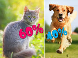 Is Your Personality More Like A Cat Or A Dog Dog Personality Quiz Dog Quiz Warrior Cat Names