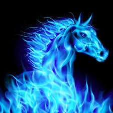 Multiple sizes available for all screen sizes. 49 Free Live Animal Wallpaper On Wallpapersafari