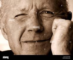 Iris deep brown hi-res stock photography and images