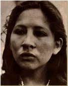 Encuentra aquí información de Sendero luminoso para tu escuela ¡Entra ya!