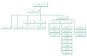 The principles of organisation offer guidance for the creation of a sound, efficient and effective organisation structure. 7 Eleven Philippines Organizational Chart