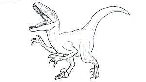 10 Coloring Page Velociraptor Velociraptor Drawing Coloring Pages Blue Jurassic World