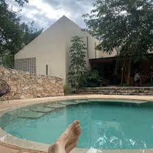 Image result for Galopina