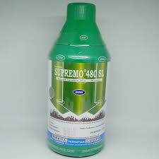 Racun rumput alami ini saya apkikasikan ke. Jual Herbisida Supremo Gold 480 Sl 1 Liter Bibitbunga Com
