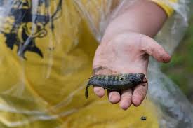 Photos from the 12th Annual Catchin' with Capin event at Eagle Lake