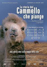 Anyone else might find it unbearingly boring mainly because a family of nomadic shepherds assists with the births of their camel herd. The Story Of The Weeping Camel Alchetron The Free Social Encyclopedia