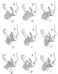 Being able to refer to the learn these parts of face names to increase your vocabulary words about the human body parts. Face Wikipedia