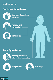 Image result for Lead Poisoning