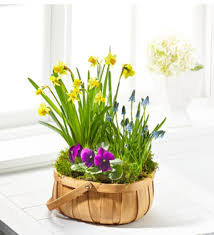 Hours may change under current circumstances Flowers By Tammy Weddings Rentals Gfts The Ftd Spring Blooms Bulb Basket Greeneville Tn 37745 Ftd Florist Flower And Gift Delivery
