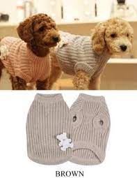 dog sweaters glamourdogs ie hayvan giysileri kopek orgu