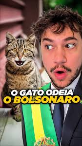 Bolsonaro Gato Meme