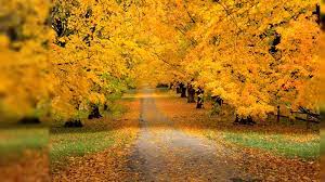 Fall Desktop Backgrounds 1920 1080 Autumn Desktop Wallpaper 1920x1080 Wallpapers Gallery Fall Pictures Autumn Scenes Scenery