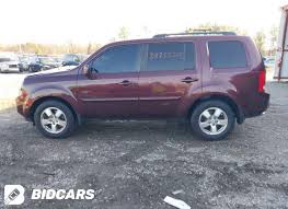 Image result for Dark Cherry 2011 Pilot