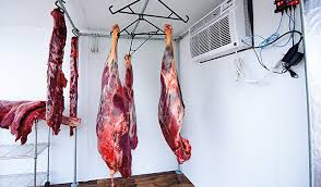 Our wild boar are humanely trapped and transported under the supervision of a trained veterinarian for harvest at our species specific plant to ensure minimal stress. The Science Behind Aging Wild Game
