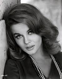 Sex Kitten Ann-Margret Vintage 1964 Kitten With a Whip Photograph Sensual  View