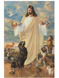 Francis of assisi for lost animals. The Spiritual Connection Center Pet Honorary And Memorial Page The Spiritual Connection Center