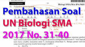 Soal un biologi dan pembahasannya. Pembahasan Soal Ujian Nasional Biologi 2016 2017 Nomor 31 40 Youtube