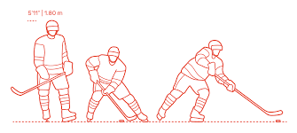 Select a country, region, city. Sidney Crosby Dimensions Drawings Dimensions Com