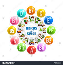 Vitamins Minerals Fresh Herbs Spices Vector Royalty Free