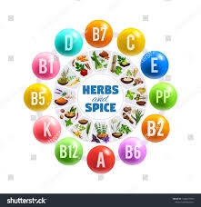 vitamins minerals fresh herbs spices vector royalty free