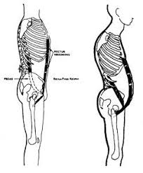 Pin On Health