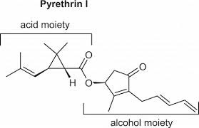 Image result for Pyrethroid