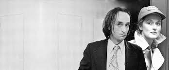 Partially based on puzo's 1969 novel, the film is in part both a sequel and a prequel to the godfather, presenting two. John Cazale And Meryl Streep Dated Until His Death All About The Actor S Life And Death