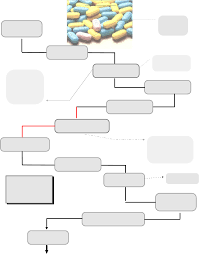 Pharmaceutical Product Development Flowchart