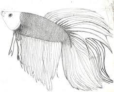 With the end goal to make betta fish coloring pages you have to send an image to print. 20 Betta Logo Ideas