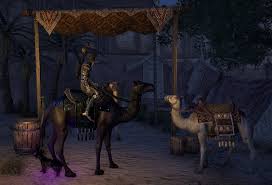 Exiled messenger (exile) camelids, crown store, exotic, furnishings, hammerfell, individual purchase, mounts, special collectibles 0. Why Is The Camel The Best Mount Elder Scrolls Online