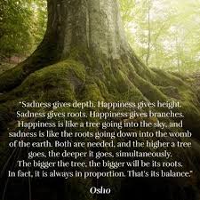 It Is Not Length Of Life But Depth Of Life Meaning In Hindi Root To Rise Meaning Osho Tree Osho Quotes